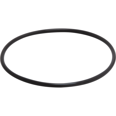 Replacement O-ring for Biomate Cover